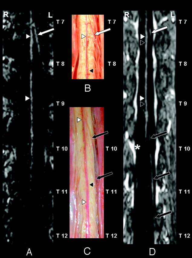 Fig 1.