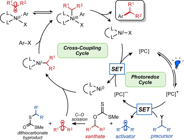 Scheme 1