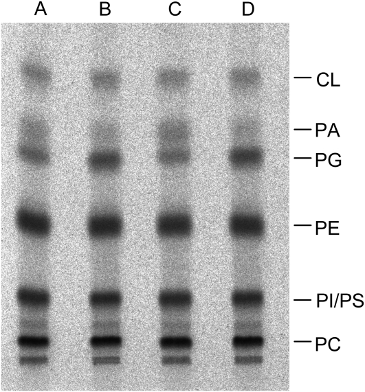 Figure 10.