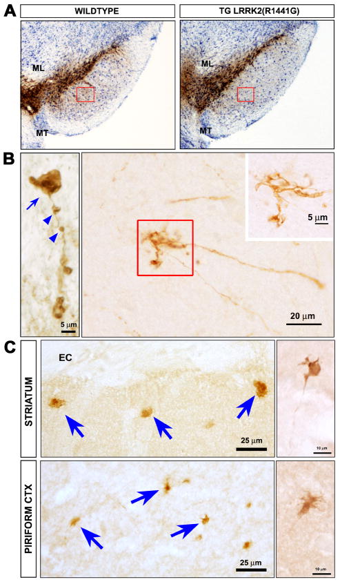 Fig. 3