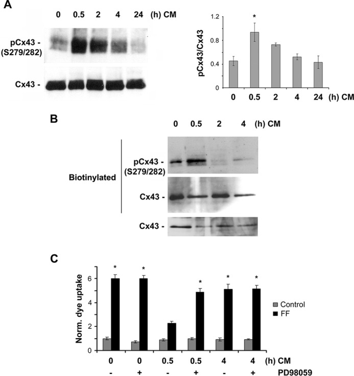 FIGURE 3.