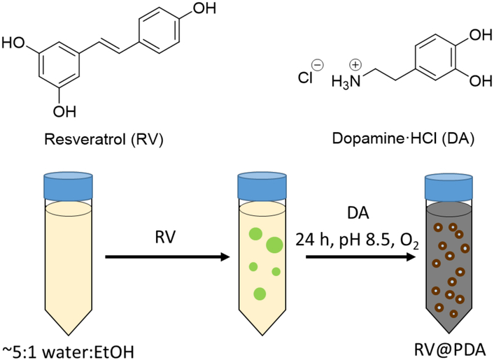 Figure 1: