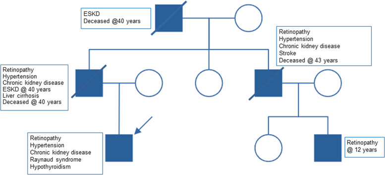 Fig. 1