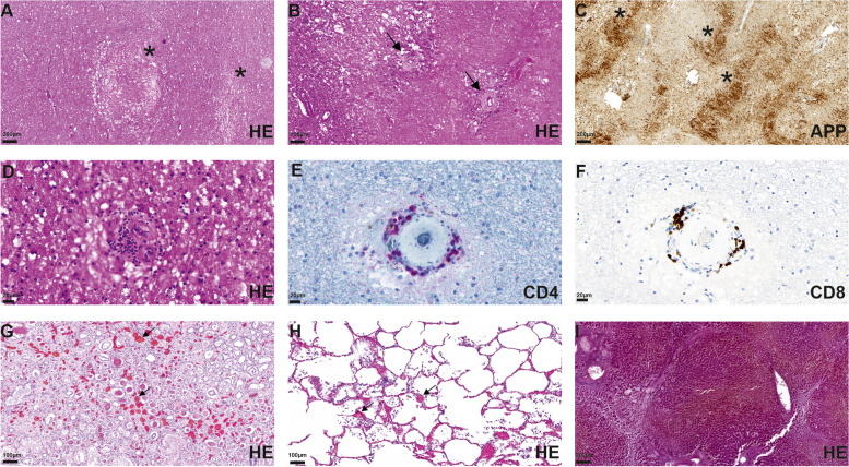 Fig. 2