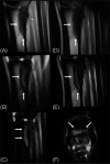 Fig. 6.