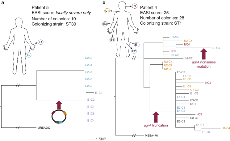 Figure 4