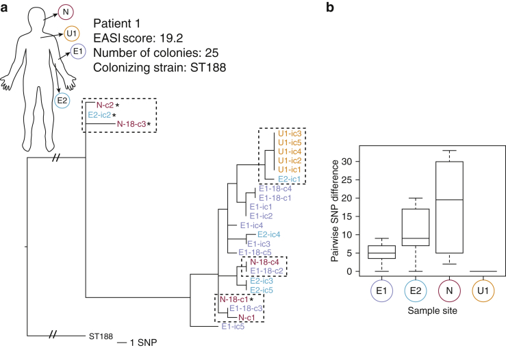 Figure 2