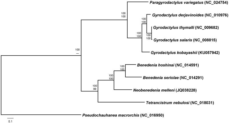 Figure 1.