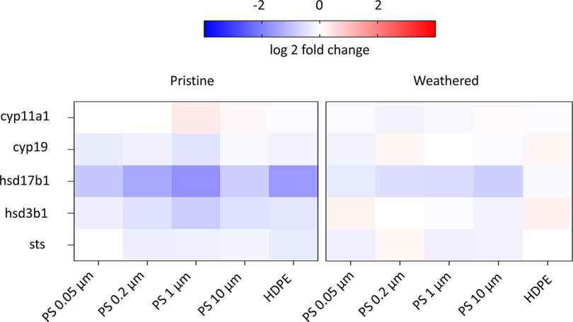 Figure 9 is a set of two heatmaps titled Pristine and Weathered, plotting Steroid sulfatase, Hydroxy-Delta-5-Steroid Dehydrogenase, 3 Beta- And Steroid Delta-Isomerase 1, 17 lowercase beta-Hydroxysteroid dehydrogenase 1, Aromatase, and Cholesterol side-chain cleavage enzyme (y-axis) across polystyrene 0.05 micrometer, polystyrene 0.2 micrometer, polystyrene 1 micrometer, polystyrene 10 micrometers, and high-density polyethylene (x-axis), respectively. A scale depicts log to the base 2 of fold change ranges from negative 2 to 2 in increments of 2.