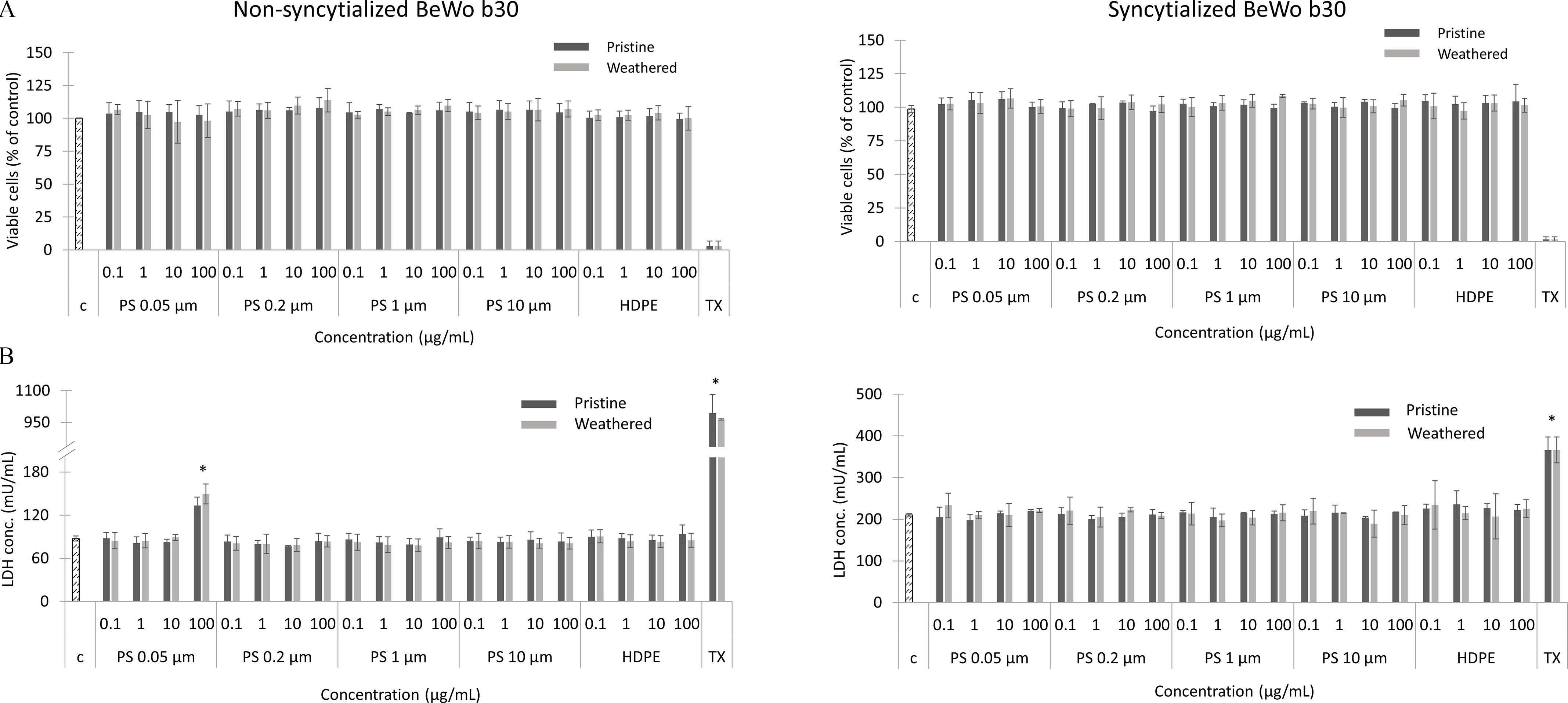 Figure 8A is a set of two clustered bar graphs titled non-syncytialized BeWo b 30 cells and syncytialized BeWo b 30 cells, plotting Viable cells (percentage of control), ranging from 0 to 150 in increments of 25 (y-axis) across concentration (microgram per milliliter), including control, polystyrene 0.05 micrometer, polystyrene 0.2 micrometer, polystyrene 1 micrometer, polystyrene 10 micrometers, high-density polyethylene, and Triton X. Polystyrene 0.05 micrometer, polystyrene 0.2 micrometer, polystyrene 1 micrometer, polystyrene 10 micrometers, high-density polyethylene, each are ranging from 0.1 to 1 in increments of 0.9, 1 to 10 in increments of 9, and 10 to 100 in increments of 90 (x-axis) for Pristine and Weathered, respectively. Figure 8B is a set of two clustered bar graphs titled non-syncytialized BeWo b 30 cells and syncytialized BeWo b 30 cells, plotting lactate dehydrogenase concentration (milliunit per milliliter), ranging from 0 to 180 in increments of 60 and 950 to 1100 in increments of 150, and 0 to 500 in increments of 100 (y-axis) across concentration (microgram per milliliter), including control, polystyrene 0.05 micrometer, polystyrene 0.2 micrometer, polystyrene 1 micrometer, polystyrene 10 micrometers, high-density polyethylene, and Triton X. Polystyrene 0.05 micrometer, polystyrene 0.2 micrometer, polystyrene 1 micrometer, polystyrene 10 micrometers, high-density polyethylene, each are ranging from 0.1 to 1 in increments of 0.9, 1 to 10 in increments of 9, and 10 to 100 in increments of 90 (x-axis) for Pristine and Weathered, respectively.