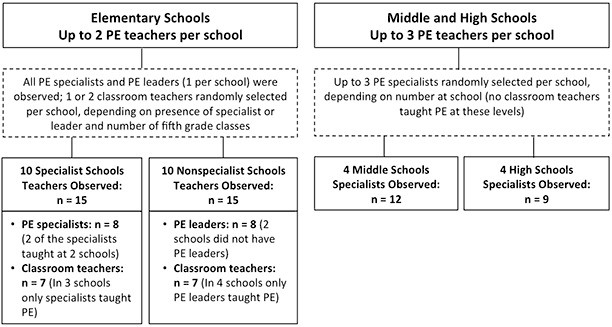 The Figure is a flow chart divided into two sections. The first section describes how physical education (PE) teachers were selected in elementary schools, and the second section describes how teacher selections were made in middle and high schools. In elementary schools, up to 2 teachers per school were observed. All PE specialists and PE leaders (1 per school) were observed; 1 or 2 classroom teachers were randomly selected per school, depending on the presence of a specialist or PE leader and the number of 5th grade classes. We observed 15 teachers in 10 specialist schools; 8 PE specialists (2 of the specialists taught at 2 schools) and 7 classroom teachers (in 3 schools only specialists taught PE). We observed 15 teachers in 10 nonspecialist schools: 8 PE leaders (2 schools did not have PE leaders) and 7 classroom teachers (in 4 schools only PE leaders taught PE). At middle and high schools, we observed up to 3 randomly selected PE specialists per school, depending on the number who taught at that school (no classroom teachers taught PE at these levels). We observed 12 specialists in 4 middle schools and 9 specialists in 4 high schools.