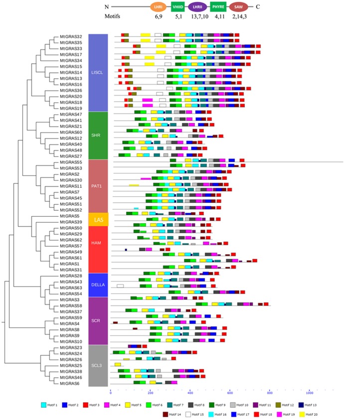 Fig 3