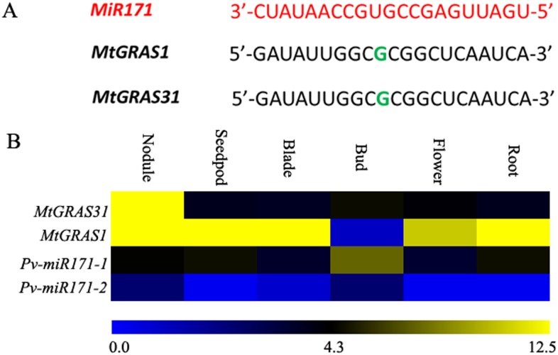 Fig 6