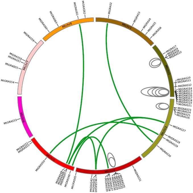 Fig 4