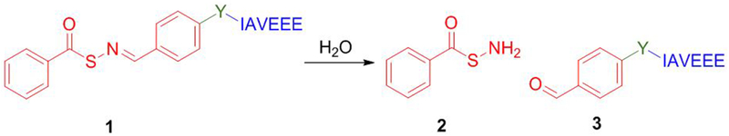 Scheme 1.