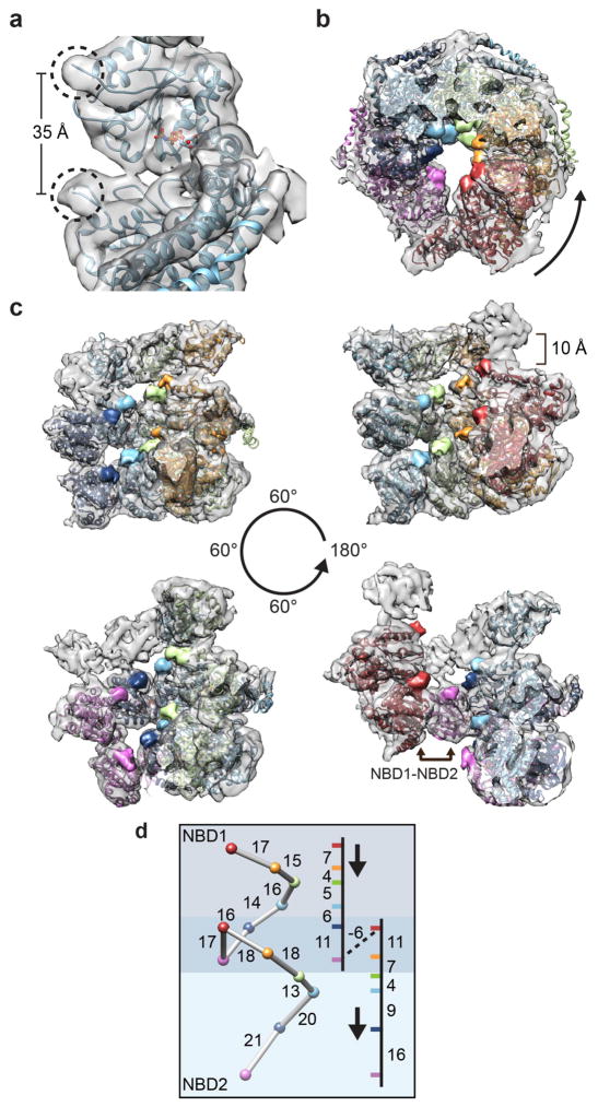 Figure 5