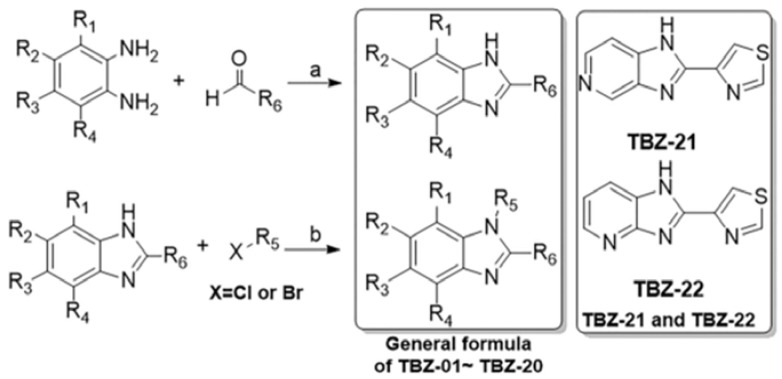 Scheme 1