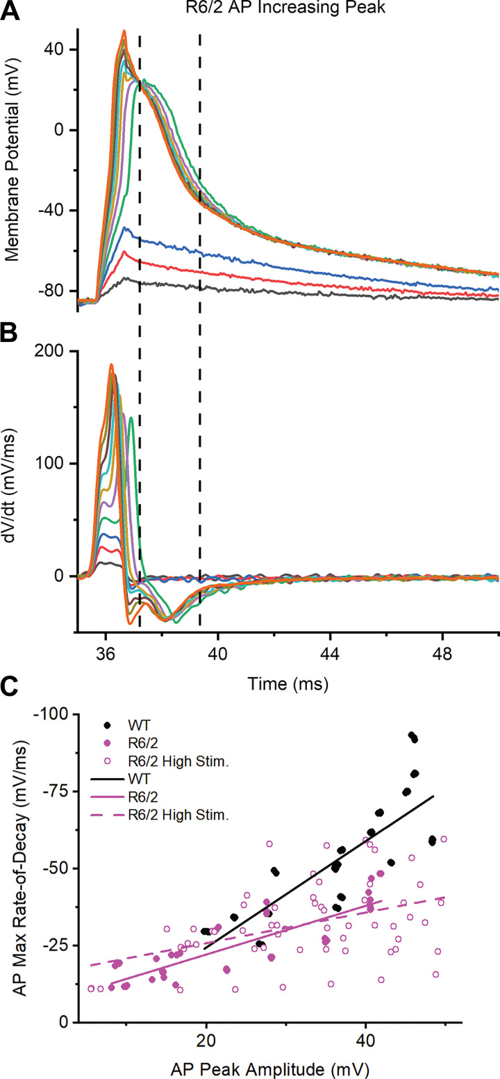 Fig. 6.