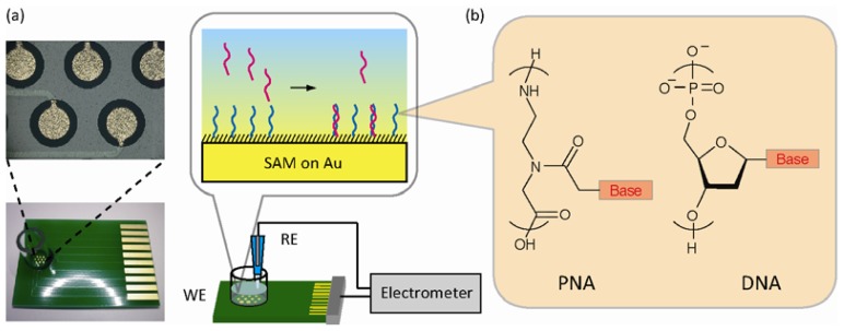 Figure 1.