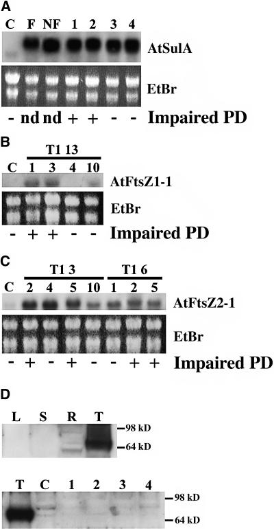 Figure 7.