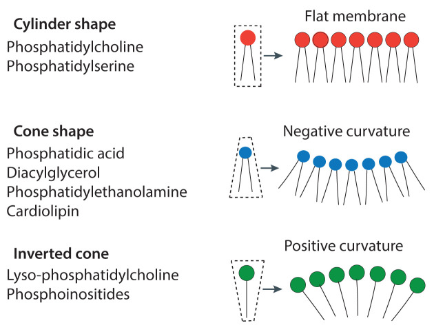 Figure 16