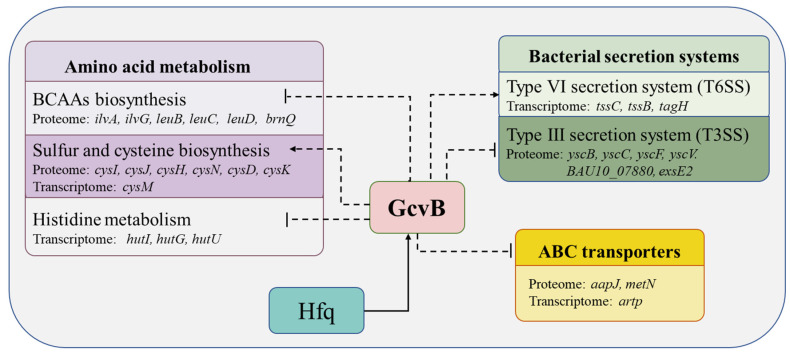 Figure 11