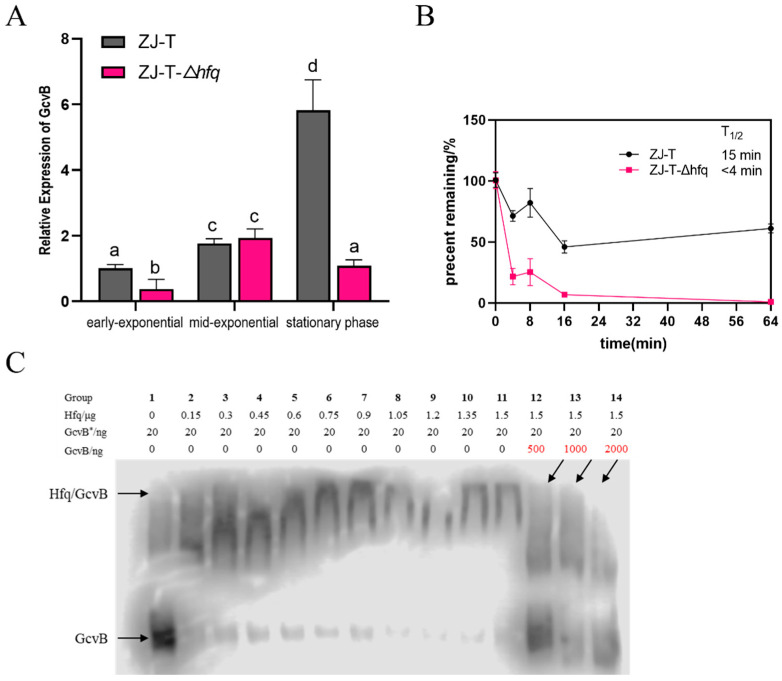 Figure 10