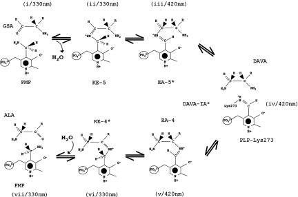 Scheme 1.