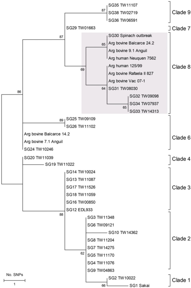 Fig 2