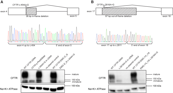 Figure 3