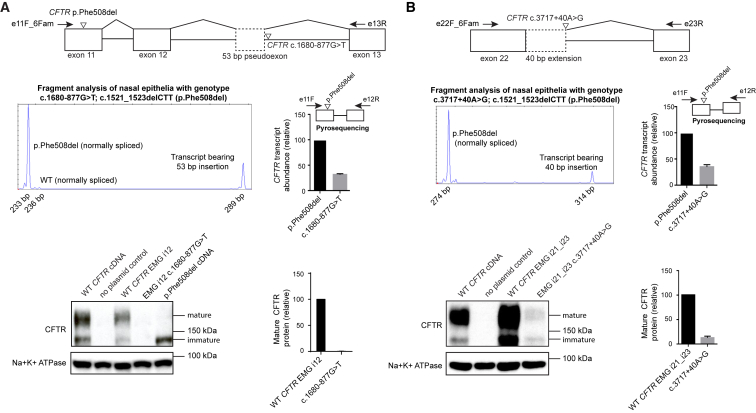 Figure 4