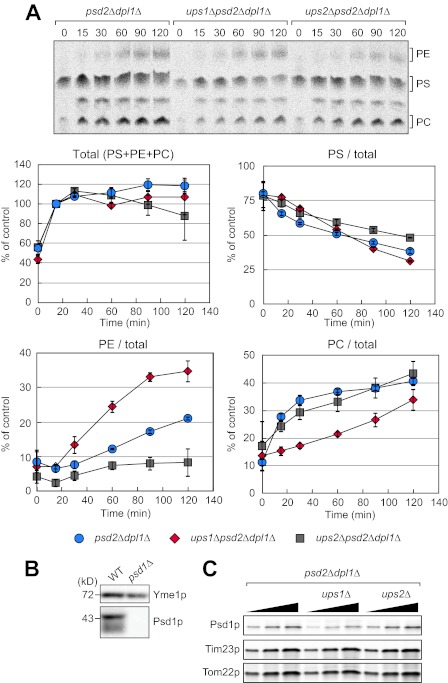 FIGURE 3.