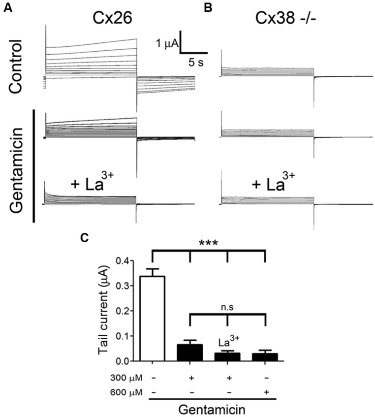 FIGURE 3