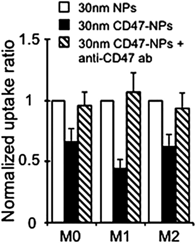 Fig. 10