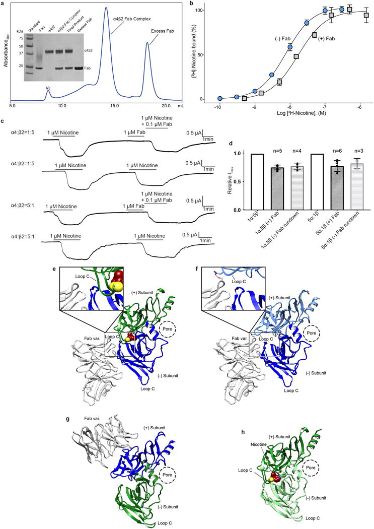 Extended Data Figure 1