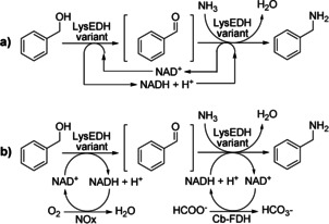 Scheme 2