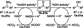 Scheme 1