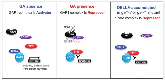 Figure 1.