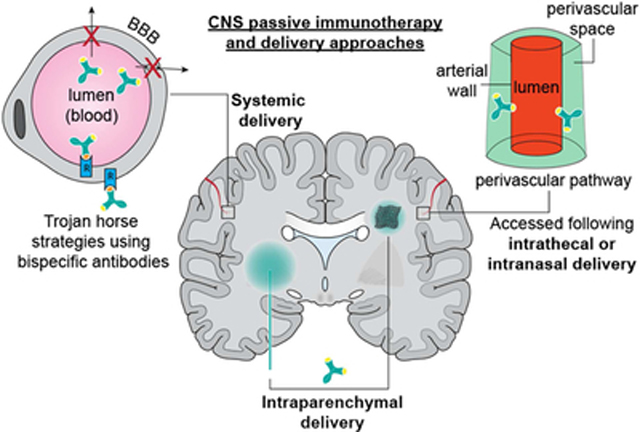 graphic file with name nihms-1561318-f0012.jpg