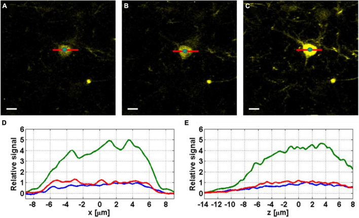 FIGURE 3