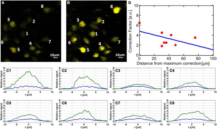 FIGURE 6