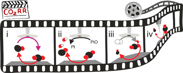 Scheme 6