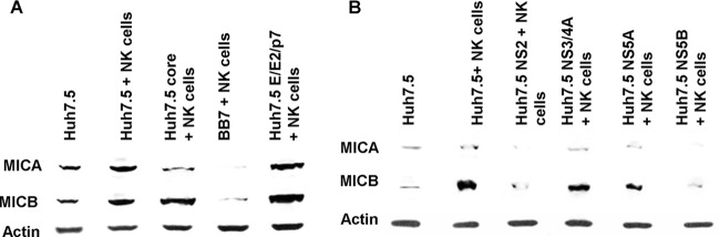 FIG 6