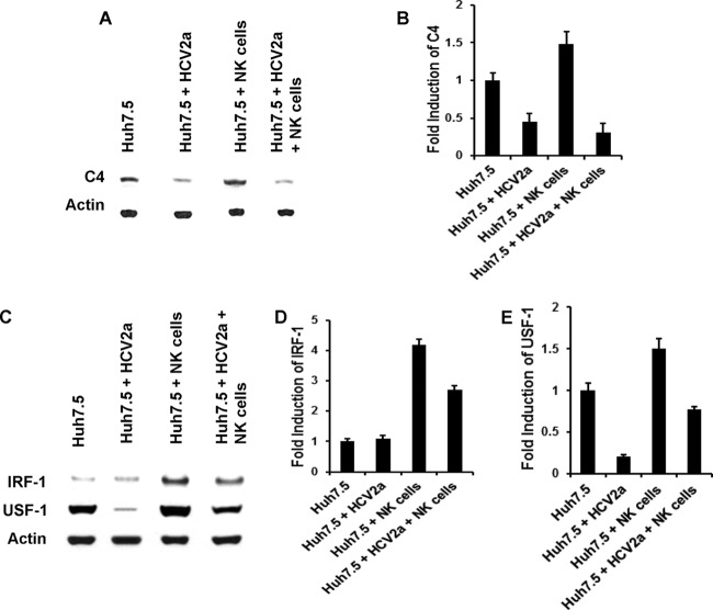 FIG 3