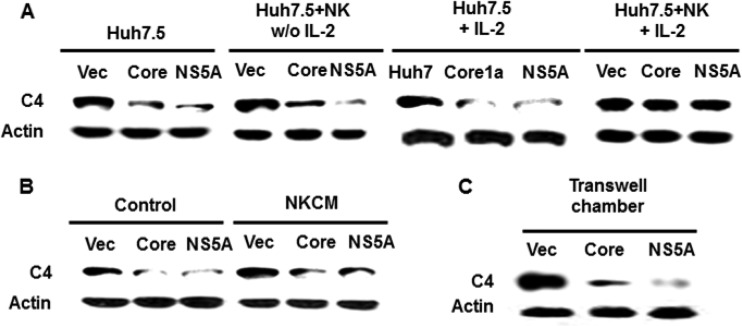 FIG 1