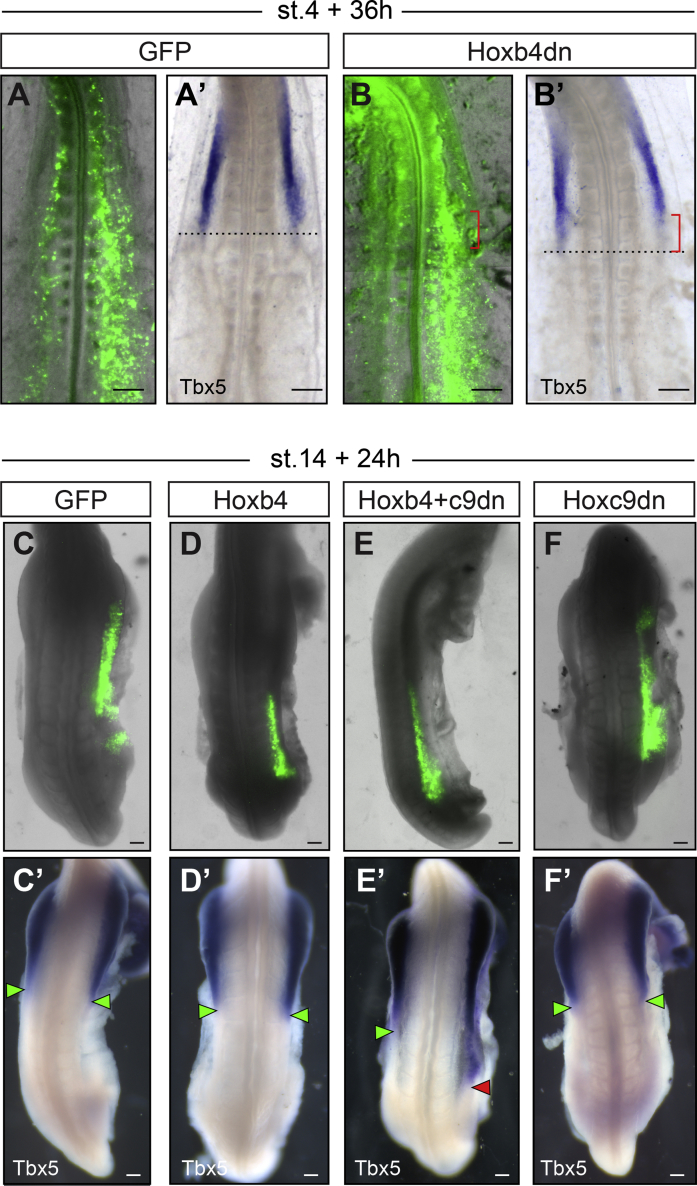 Figure 3