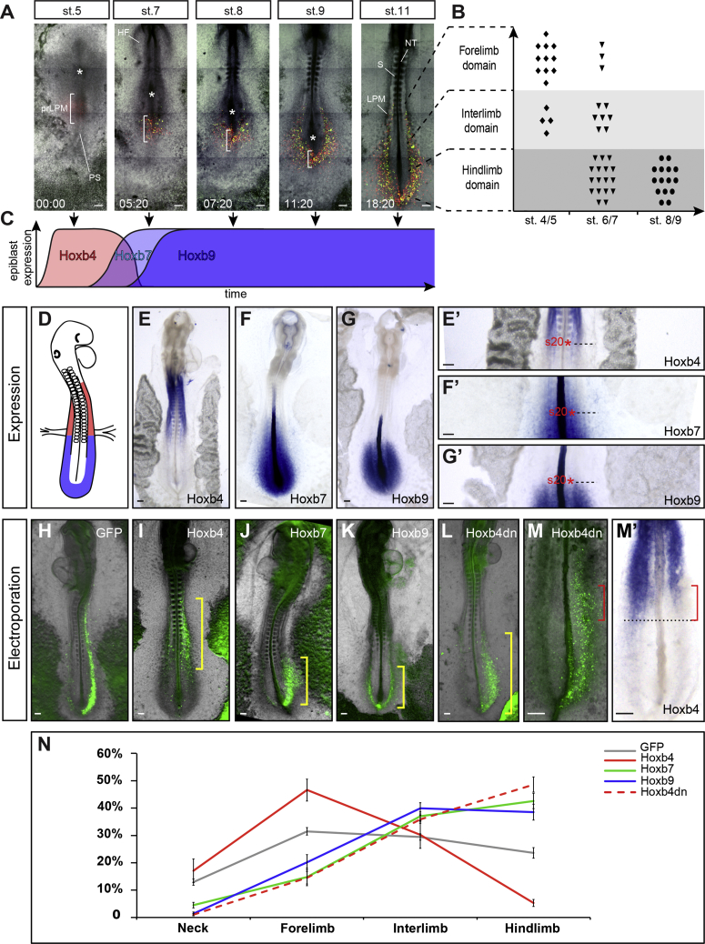 Figure 2