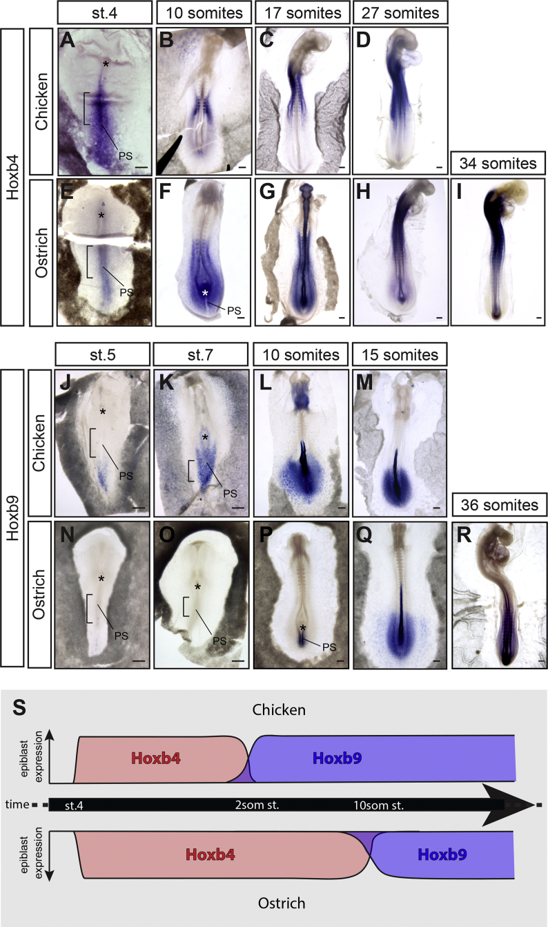 Figure 6