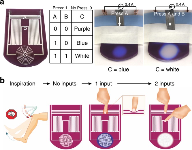 Fig. 3