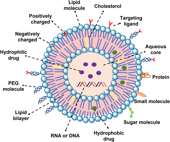 Figure 5